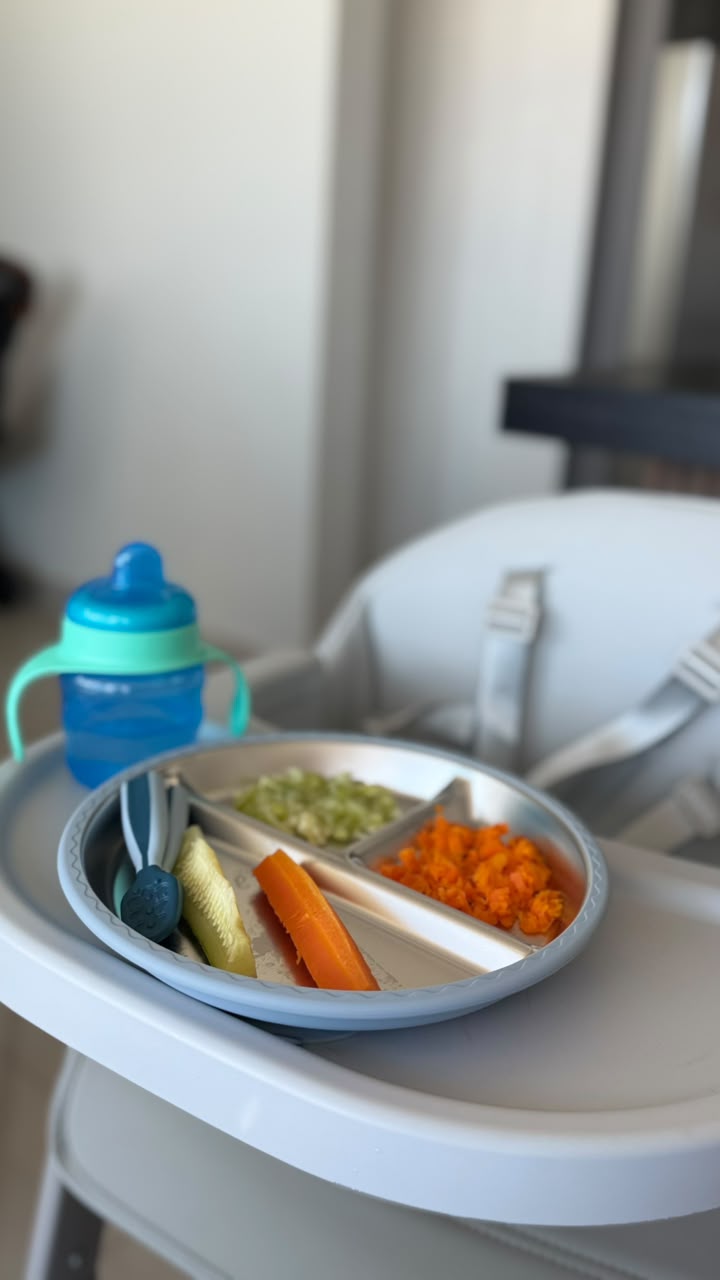 Pratinho real do bebê no cadeirão, com copinho, cenoura, pepino e legumes